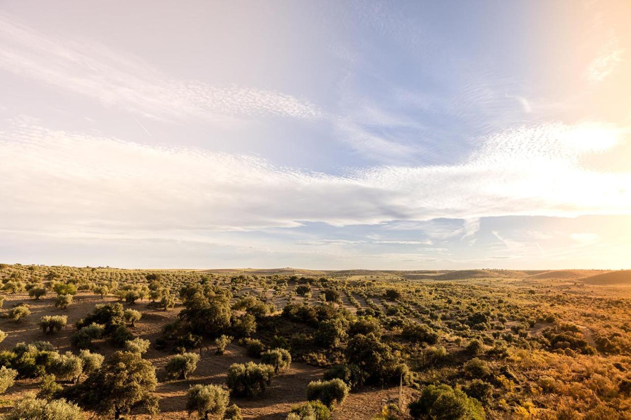 Casa Rural Cigarral Del Pintor توليدو المظهر الخارجي الصورة